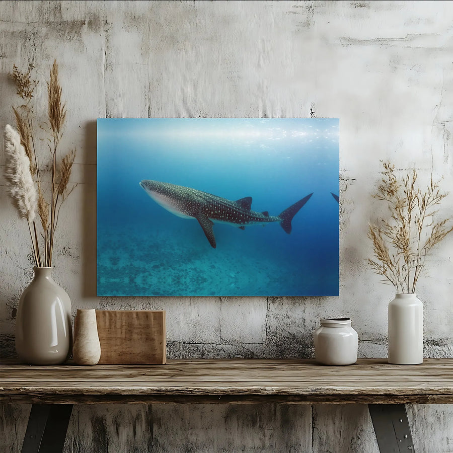 Whale Shark Canvas Wall Art | Underwater Ocean Photography Print | Premium Gallery Wrapped Canvas | Coastal Home Decor Gift for Ocean Lovers