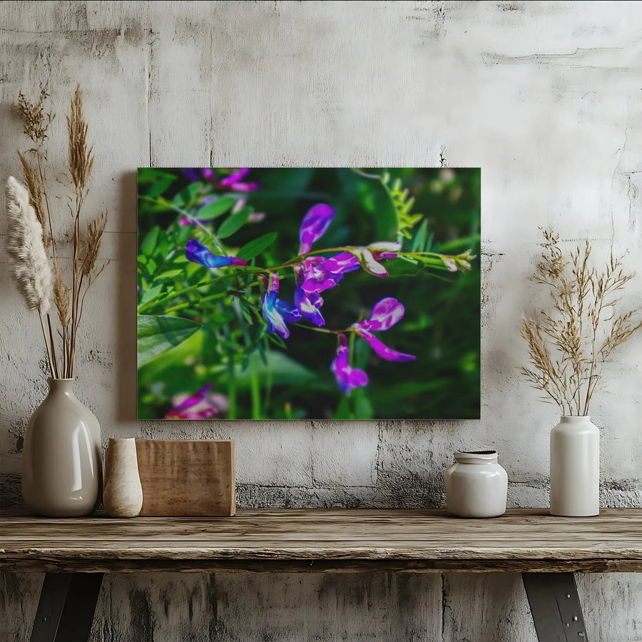 Purple Wildflower Canvas Print | Macro Botanical Floral Art | Premium Gallery Wrapped Wall Decor | Nature Inspired Gift for Home Office