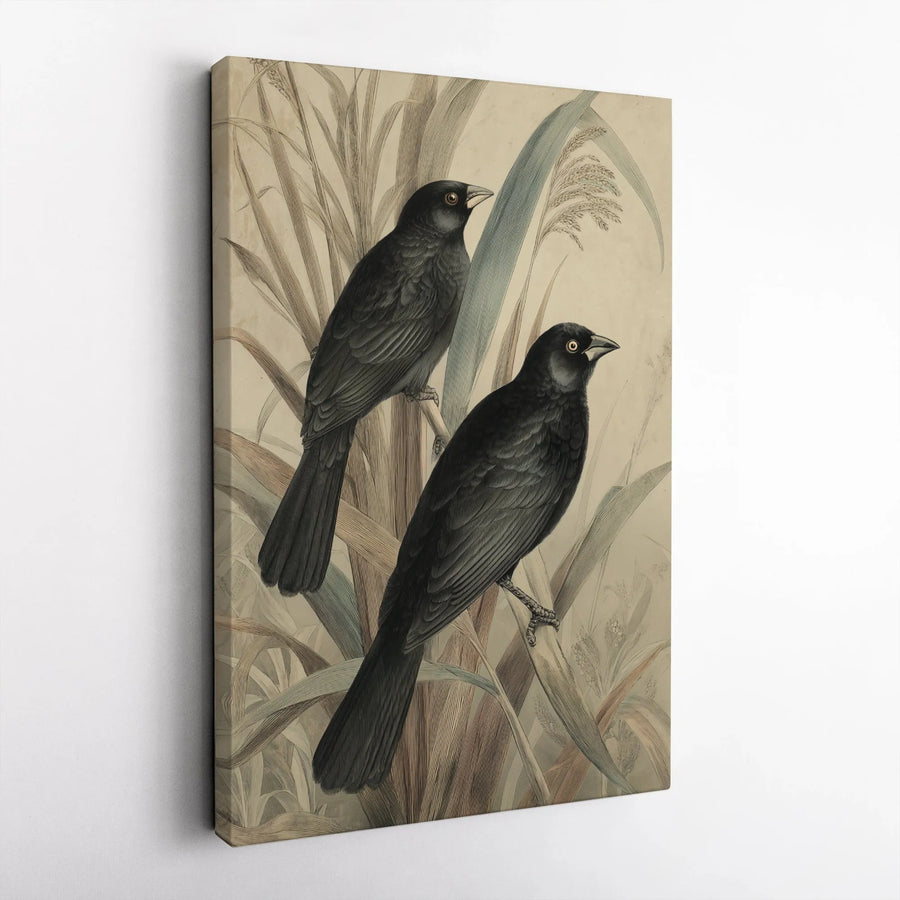 Black Bird Canvas Art | Vintage Ornithological Illustration | Premium Gallery Wrap Wall Decor | Antique Botanical Print For Nature Lovers