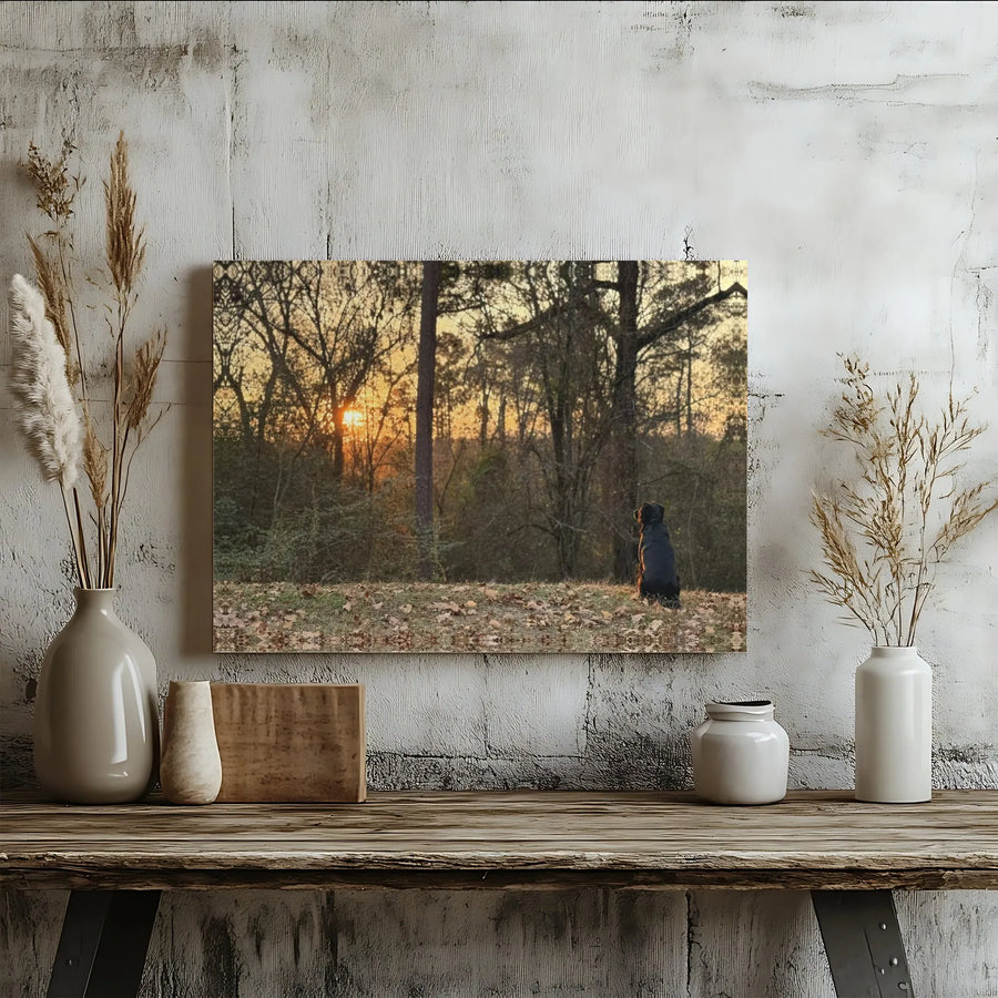 Black Dog Sunset Canvas Wall Art | Autumn Forest Landscape Print | 1.25 Inch Gallery Wrap | Peaceful Nature Home Decor Gift for Dog Lovers