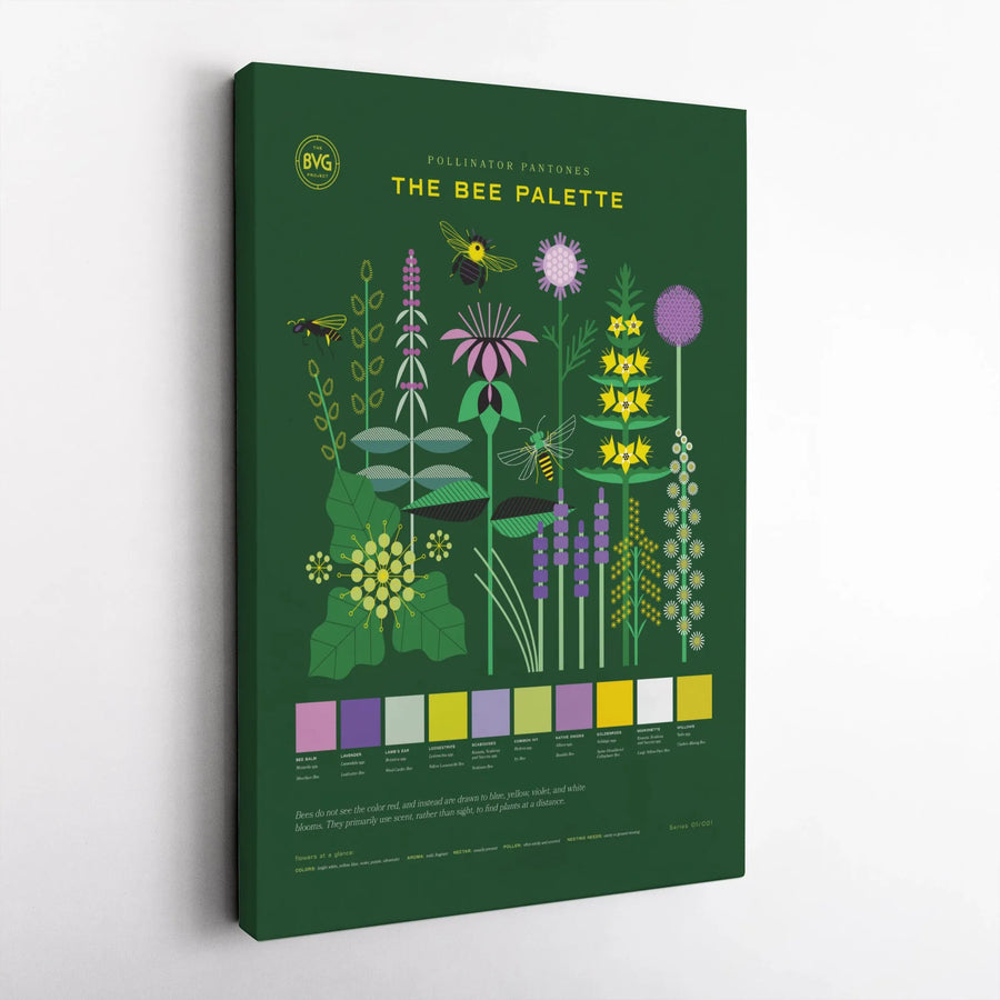 Pollinator Plant Chart Canvas | The Bee Palette Botanical Infographic Art | Premium Gallery-Wrap Wall Decor | Nature Gift for Gardeners