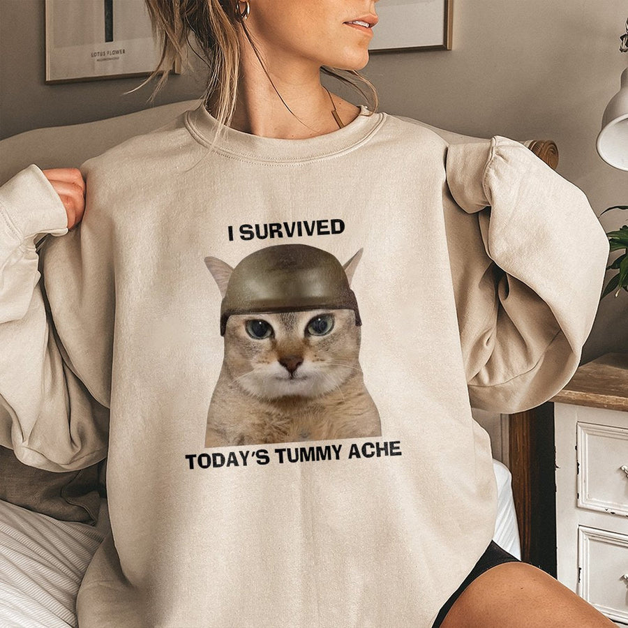 I Survived Todays Tummy Ache Sweatshirt | Funny Cat Meme Graphic | Premium Cotton Blend | Unisex Gift for Cat Lovers