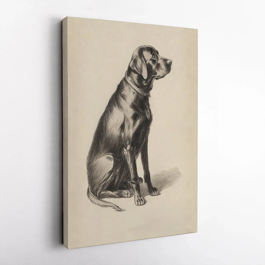 Black Labrador Retriever Canvas Wall Art | Vintage Pencil Dog Sketch Print | 1.25" Premium Gallery Wrapped Decor | Perfect Dog Lover Gift Idea