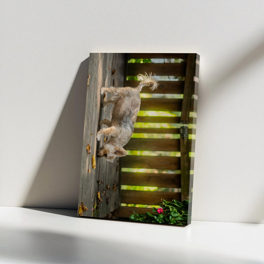 Terrier Dog Vertical Canvas | Curious Puppy on Rustic Autumn Porch | Premium Gallery Wrapped Print | Gift for Dog Lover, Pet Owner Wall Decor