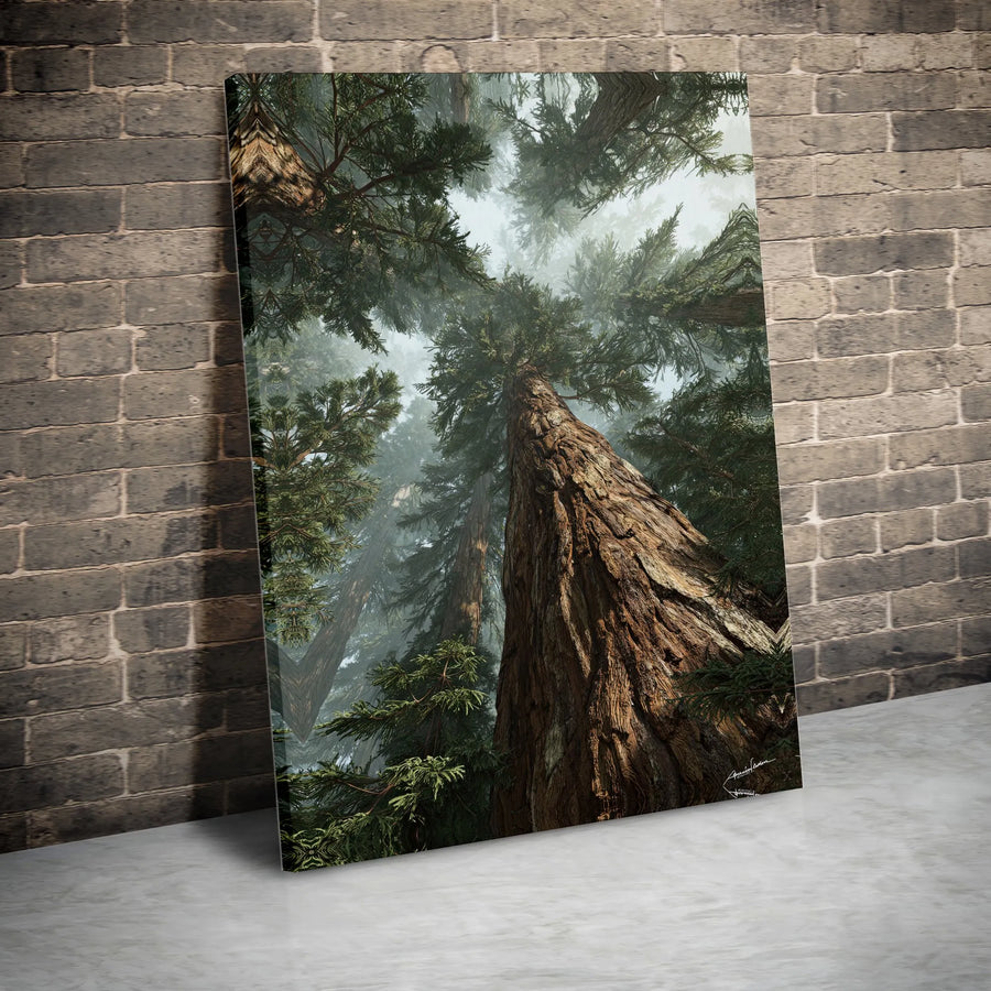 Misty Redwood Forest Canvas Print | Giant Sequoia Tree Low Angle Wall Art | Premium 1.25 Inch Gallery Wrap | Nature Lover Home Decor Gift