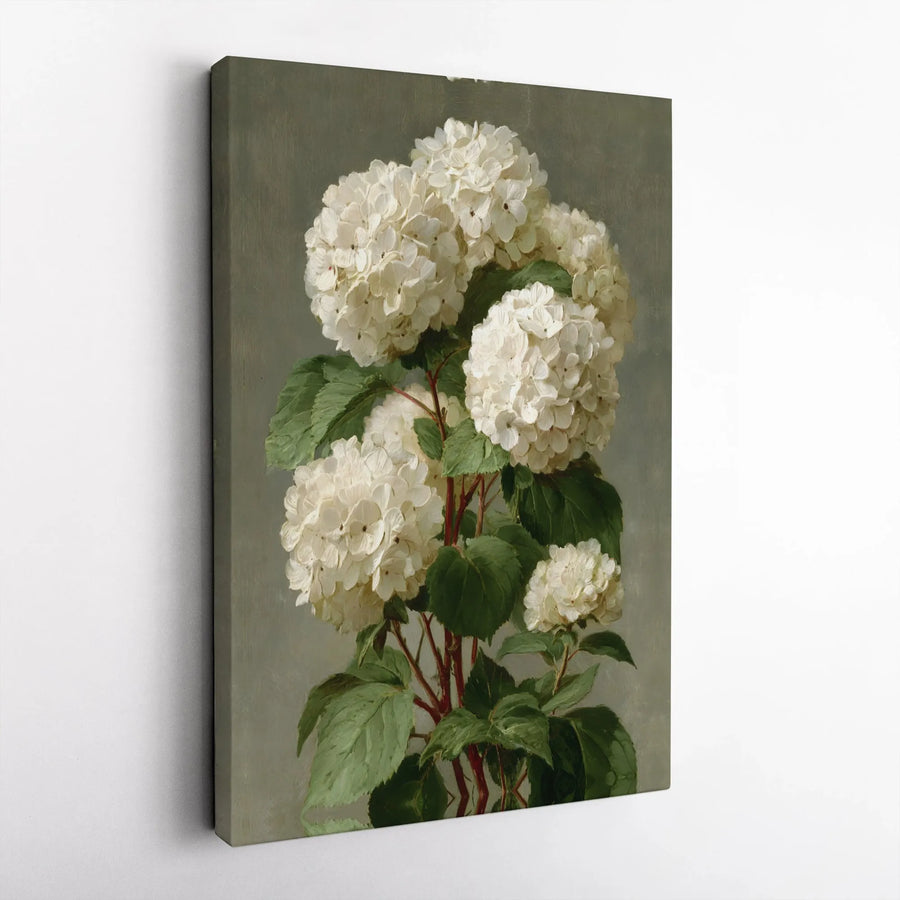 White Hydrangea Botanical Wall Art | Vintage Floral Oil Painting Style | Premium Gallery Wrap Canvas | Elegant Home Decor For Living Room