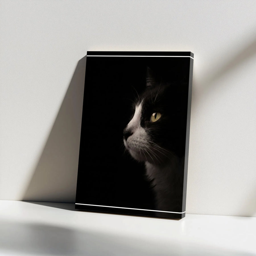 Black Cat Canvas Wall Art | Dramatic Minimalist Pet Portrait | Premium Gallery Quality Print | Unique Gift for Cat Lover, Modern Home Decor