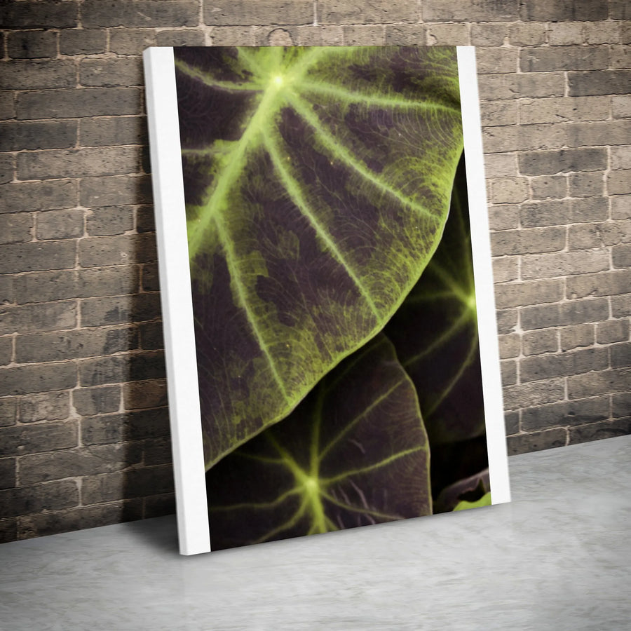 Elephant Ear Leaf Canvas Wall Art | Abstract Botanical Macro Print | Premium Gallery Wrapped Canvas | Modern Nature Inspired Home Decor Gift