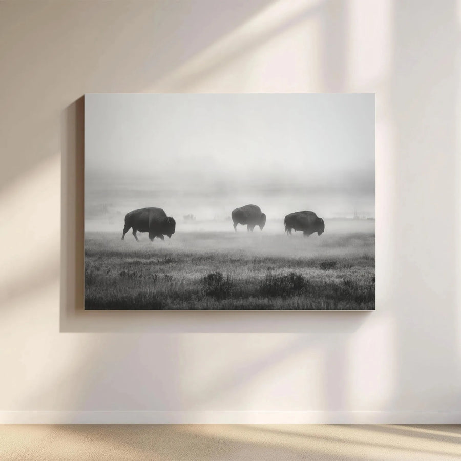 Bison Wildlife Wall Art | Foggy Morning Landscape Canvas Print | Premium Gallery Wrap Wooden Frame | Western Home Decor Gift