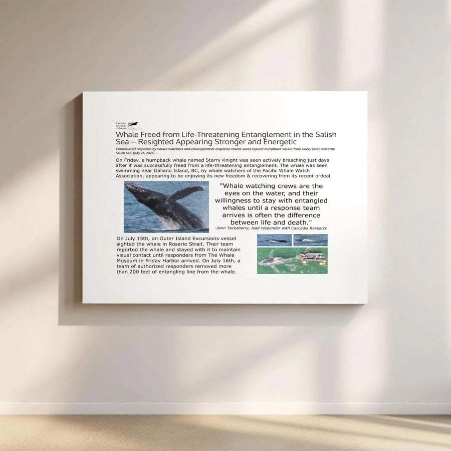 Humpback Whale Rescue Canvas Wall Art | Salish Sea Conservation Story | Premium Gallery Wrap Print | Wildlife Photography Gift for Marine Lovers