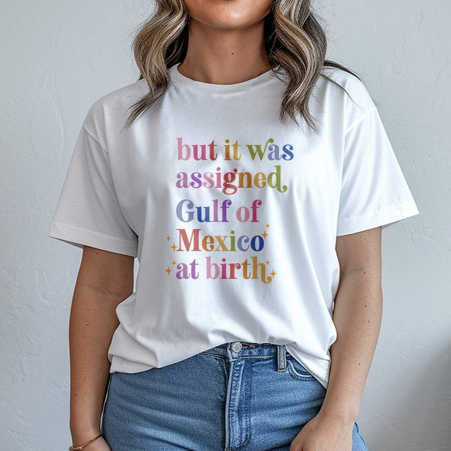 Gulf of Mexico Assigned At Birth T-Shirt | Retro Typography Humor | Premium Cotton Crewneck | Funny Geography Gift for Nature Lovers