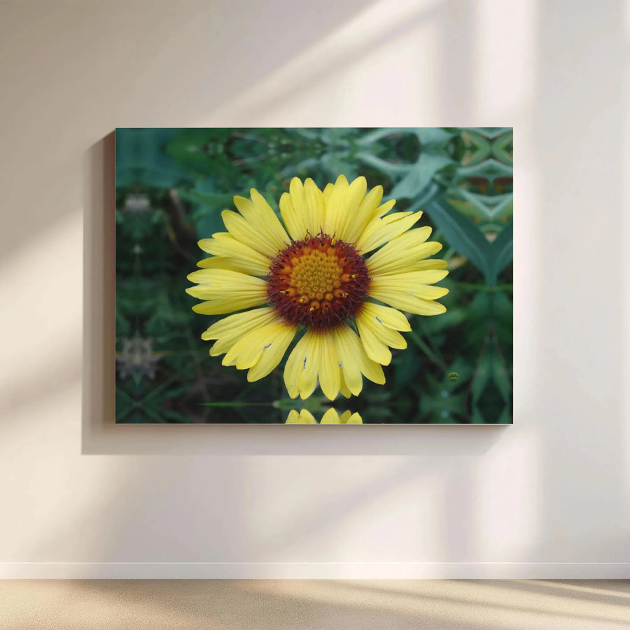 Yellow Gaillardia Flower Canvas Wall Art | Macro Botanical Photography | Premium Gallery Wrapped Print | Nature Home Decor Gift