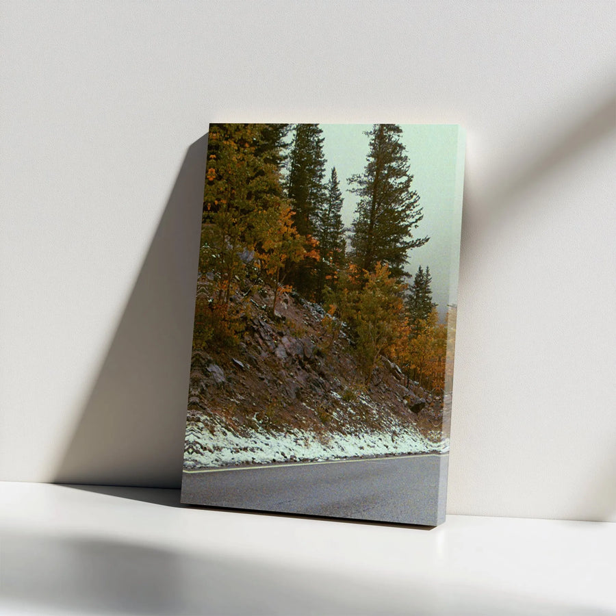 Autumn Mountain Road Canvas Print | Snowy Pine Tree Landscape | 1.25 Inch Gallery Wrap | Fall Nature Home Office Decor
