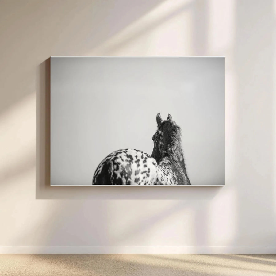 Appaloosa Horse Canvas Wall Art | Minimalist Black and White Photography | Premium Gallery Wrapped Canvas | Modern Farmhouse Gift for Equestrian