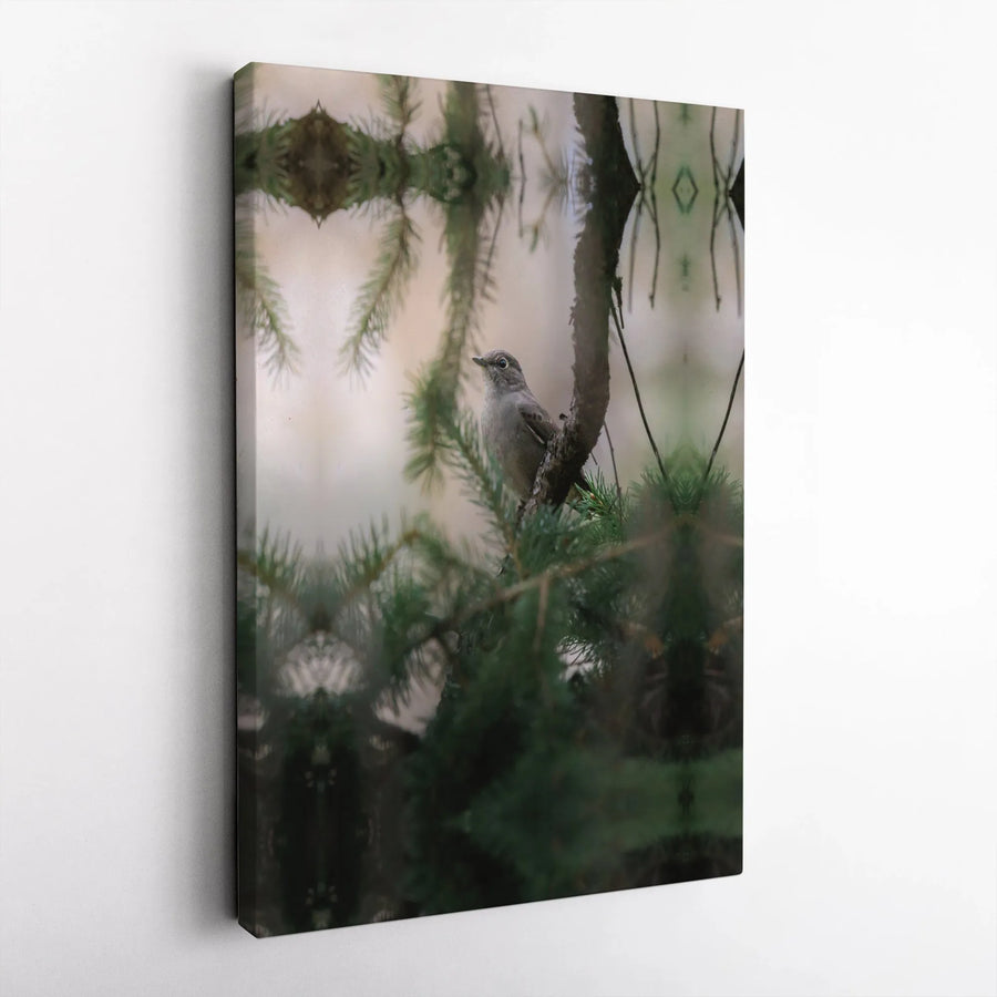 Songbird on Pine Branch Canvas Print | Realistic Wildlife Photography Art | Premium Gallery Wrapped 1.25" Canvas | Gift for Nature Lovers & Cabin Decor