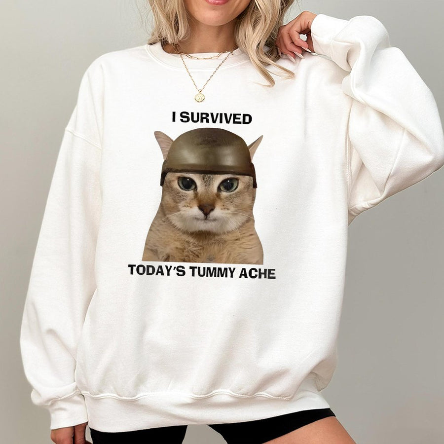 I Survived Todays Tummy Ache Sweatshirt | Funny Cat Meme Graphic | Premium Cotton Blend | Unisex Gift for Cat Lovers