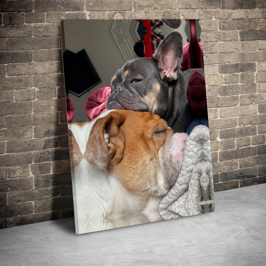 Sleeping Bulldog Canvas Wall Art | Frenchie and English Bulldog Cuddle Print | 1.25 Inch Premium Gallery Wrap | Dog Lover Home Decor Gift