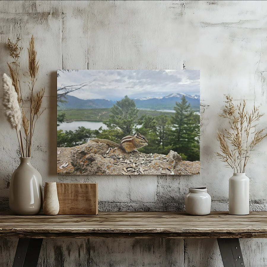 Chipmunk Canvas Wall Art | Rocky Mountain Wildlife Photography | Premium Matte Canvas Print | Rustic Cabin Decor Gift