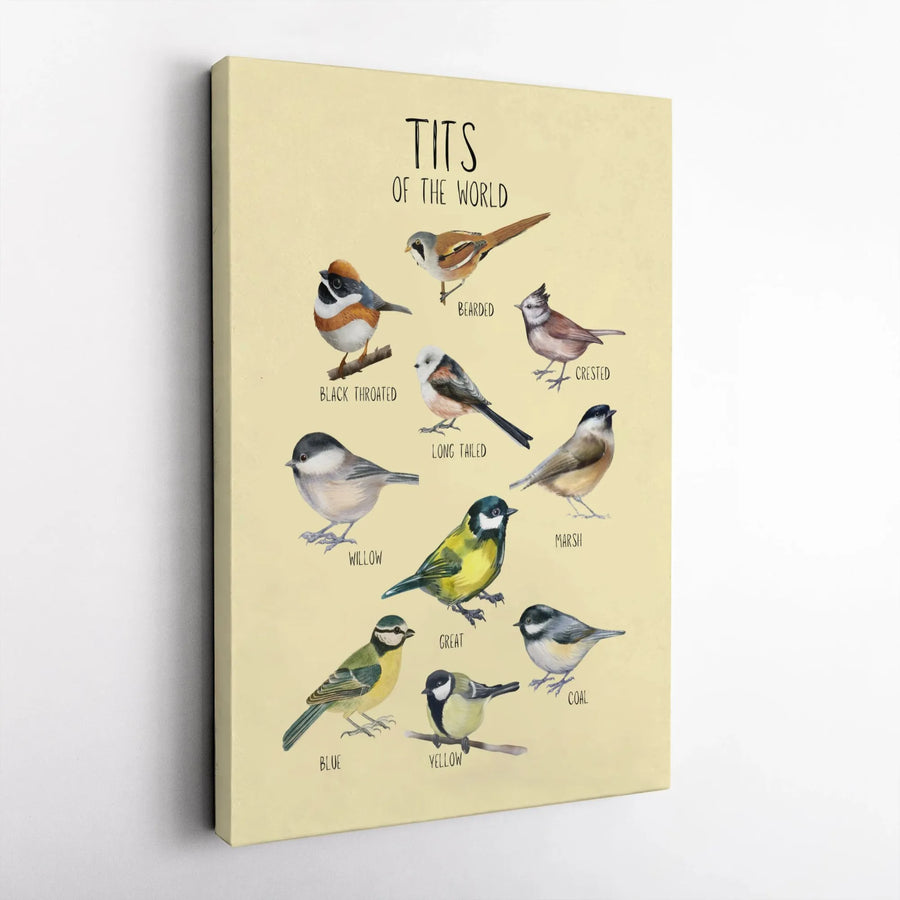 Tits Of The World Bird Art Canvas | Educational Species Chart Print | Premium Gallery Wrap Wall Decor | Unique Gift For Birdwatchers & Naturalists