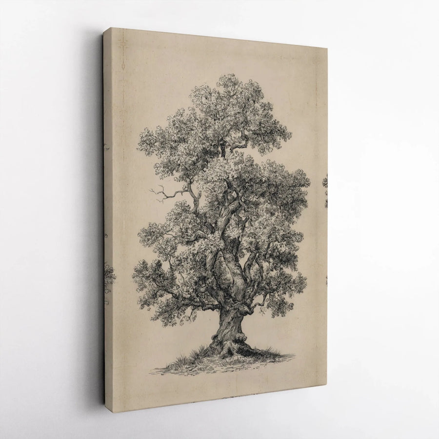 Vintage Oak Tree Canvas Wall Art | Botanical Sketch Illustration | Premium Gallery Wrapped Canvas | Rustic Farmhouse Decor Gift