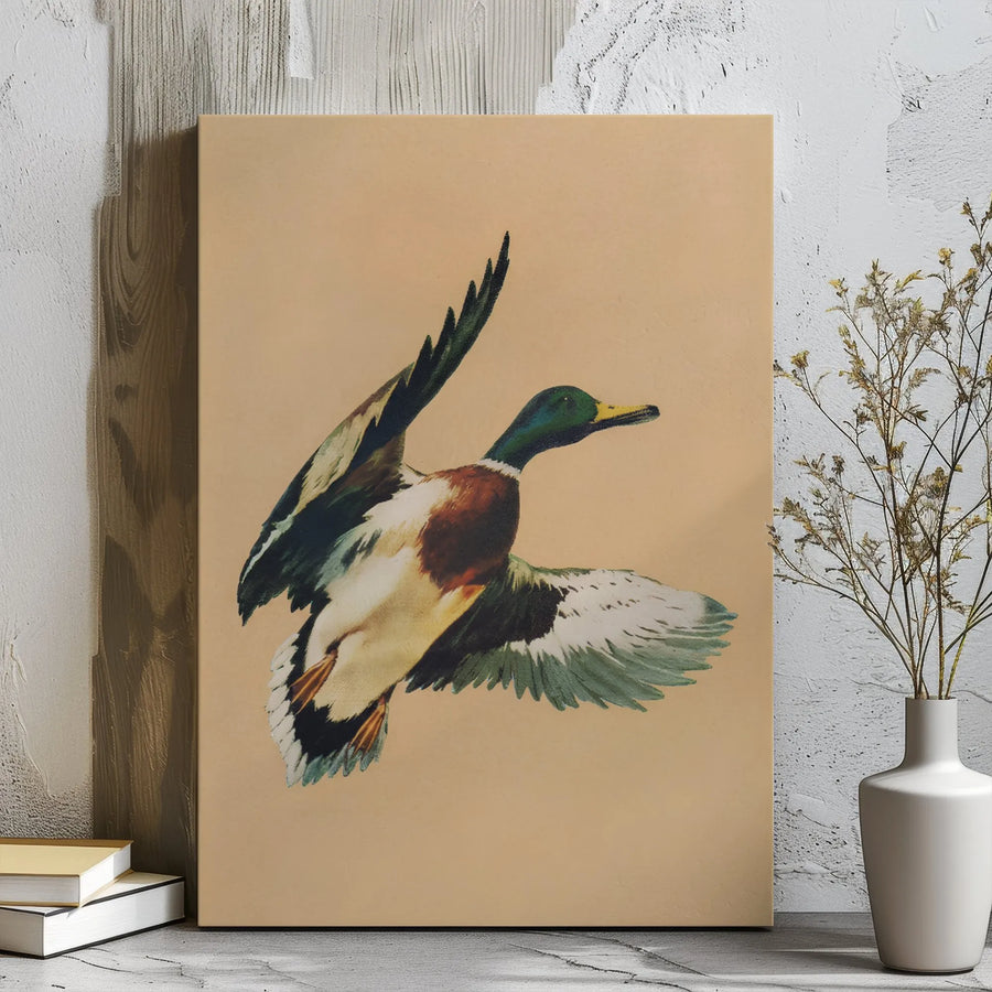 Vintage Mallard Duck Canvas Art | Flying Duck Wildlife Illustration | Premium Gallery Wrap Wall Decor | Rustic Cabin & Lodge Gift for Nature Lovers