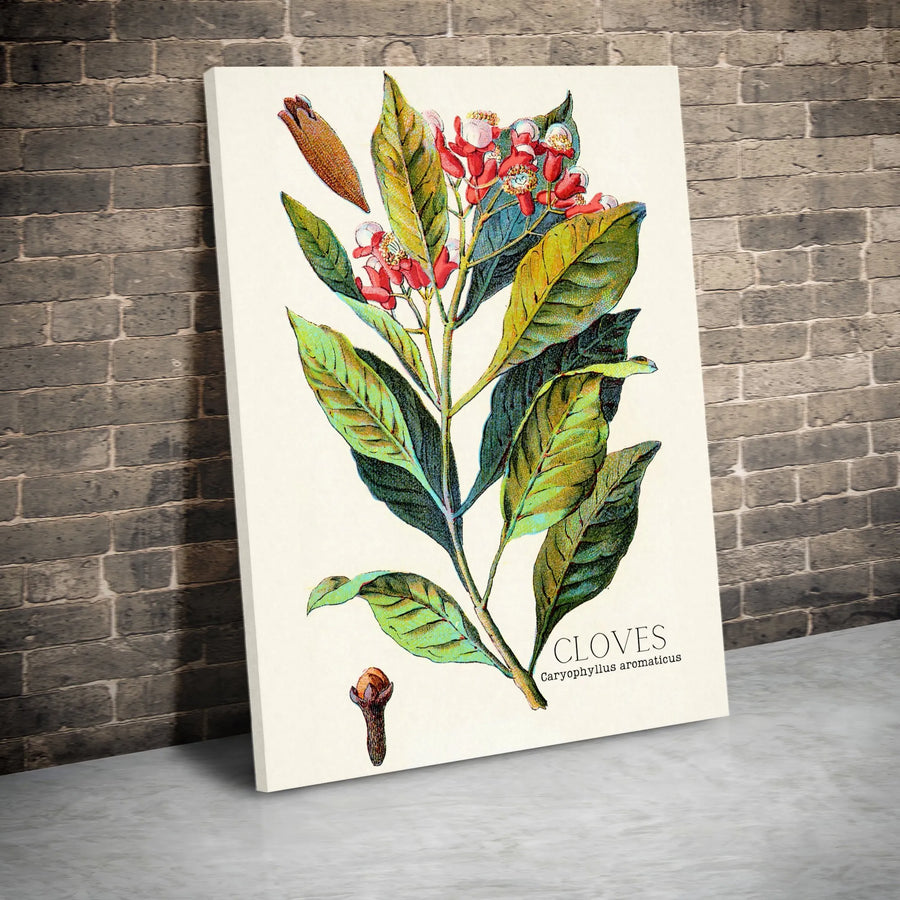 Vintage Botanical Cloves Canvas Print | Scientific Clove Plant Illustration | Premium Fade-Resistant Ink | Kitchen & Farmhouse Wall Decor Gift