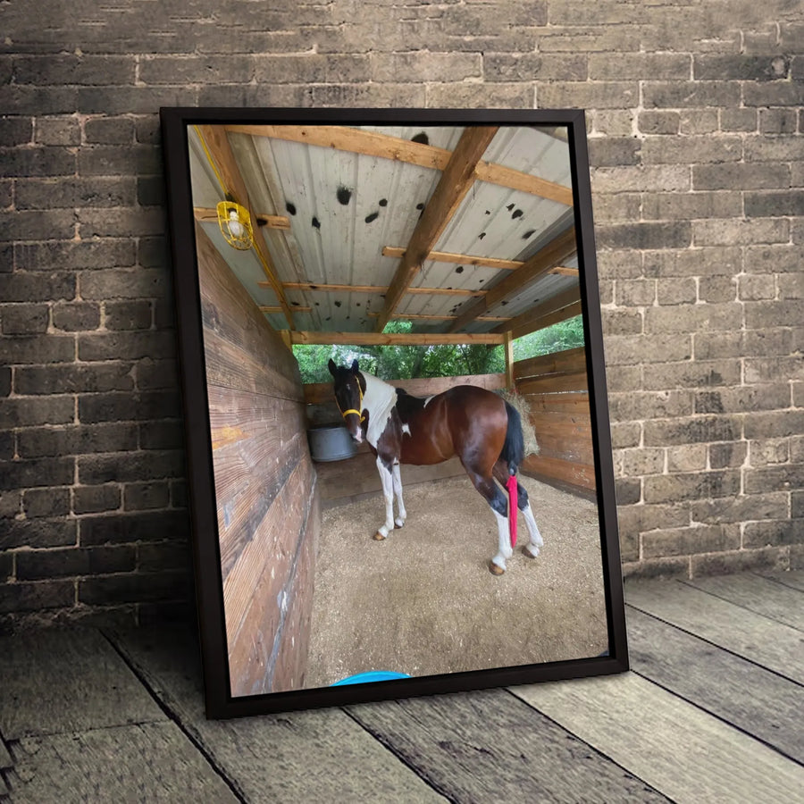 Paint Horse Canvas Art | Rustic Farmhouse Barn Wall Decor | Premium 1.25" Gallery Wrap | Equestrian Gift for Horse Lovers