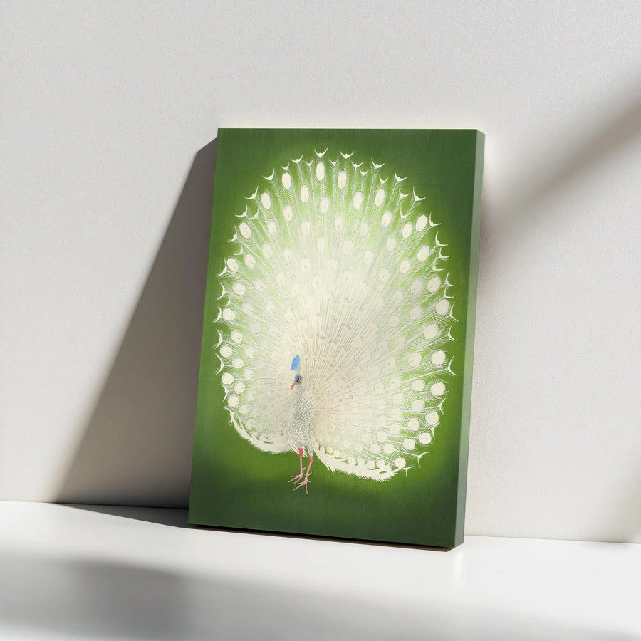 White Peacock Wall Art | Majestic Bird Illustration | Premium Gallery Wrapped Canvas | Elegant Home Decor Gift