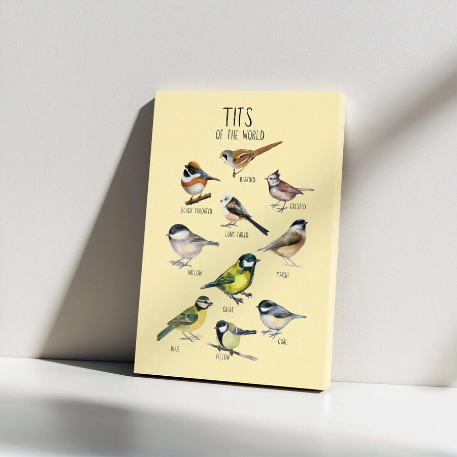 Tits Of The World Bird Art Canvas | Educational Species Chart Print | Premium Gallery Wrap Wall Decor | Unique Gift For Birdwatchers & Naturalists