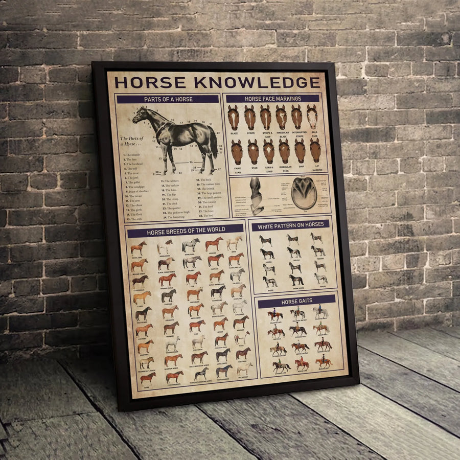Horse Knowledge Poster | Vintage Anatomy & Breed Chart Canvas | Premium Equestrian Wall Art | Gift for Horse Lovers & Stable Decor