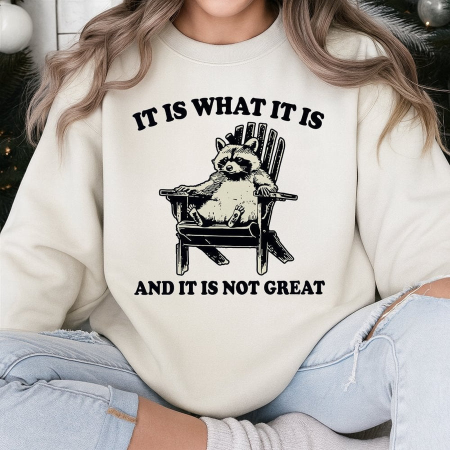 It Is What It Is And It Is Not Great Raccoon Sweatshirt | Funny Meme Graphic Pullover | Soft Cotton Blend | Unique Gift for Sarcastic People