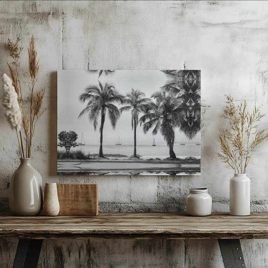 Black and White Palm Tree Canvas Print | Minimalist Tropical Beach Seascape | Premium Gallery-Quality Wall Art | Modern Coastal Home Decor Gift