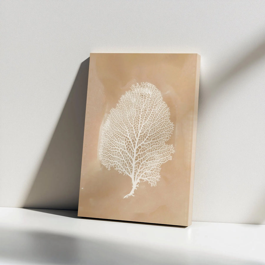 Sea Fan Coral Wall Art | Minimalist Beige and White Coastal Decor | Premium Gallery Wrap Canvas | Modern Beach House Living Room Decor