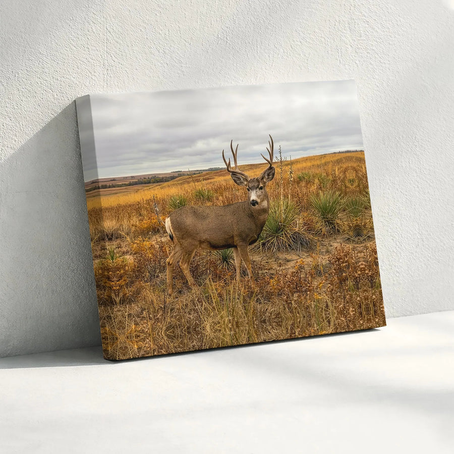 Mule Deer Canvas Wall Art | Realistic Wildlife Photography Print | Gallery Quality Thick Canvas | Rustic Home Decor Gift for Hunters