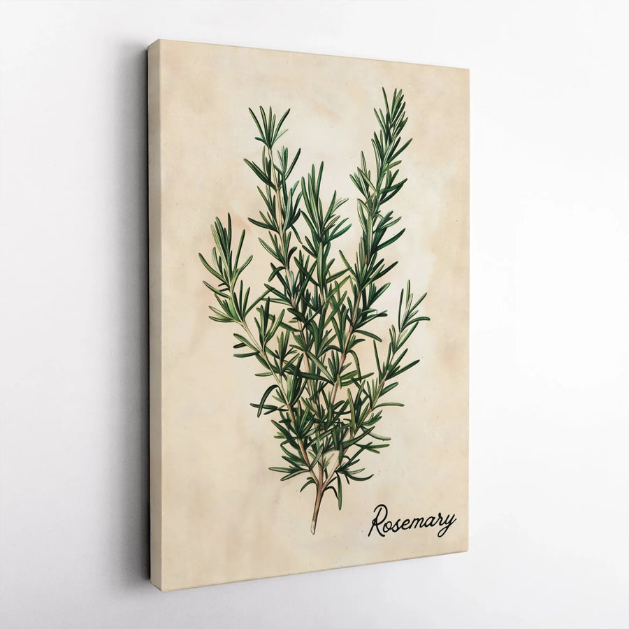 Rosemary Botanical Vertical Canvas | Vintage Herb Illustration | Premium Gallery Wall Art | Farmhouse Kitchen Decor Gift for Gardener