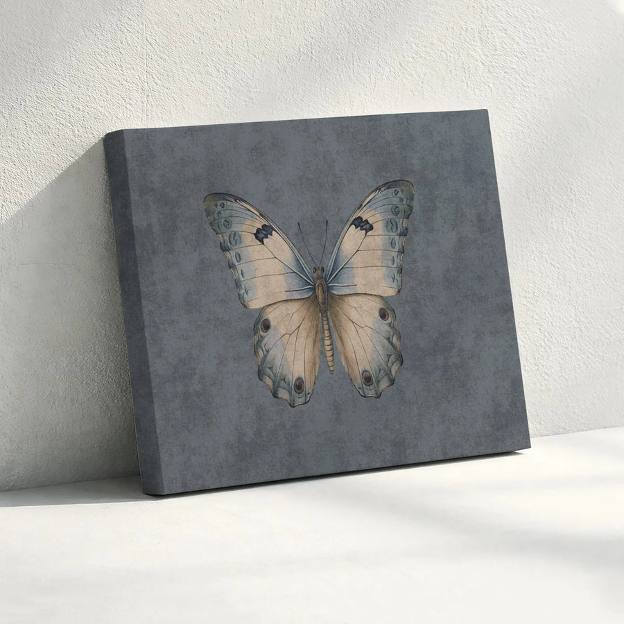 Vintage Butterfly Canvas Wall Art | Muted Blue And Tan Insect Illustration | Gallery-Quality Premium Print | Nature Decor Gift For Home Office