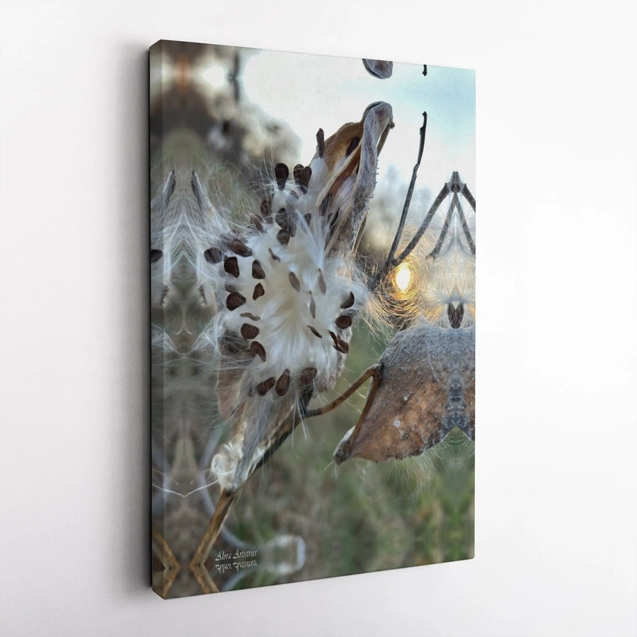 Milkweed Seed Pod Wall Art | Mirrored Sunset Botanical Canvas | Premium Gallery Wrap Print | Nature-Inspired Home Decor for Nature Lovers