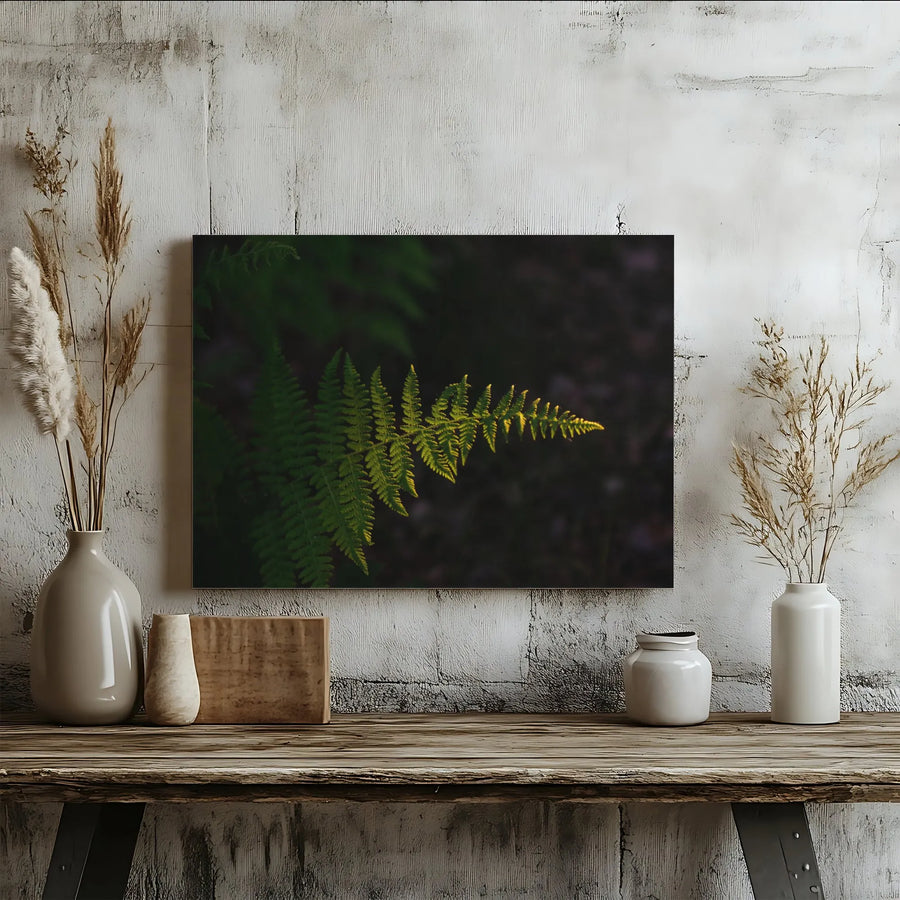 Sunlit Fern Canvas Wall Art | Moody Forest Botanical Print | Gallery Quality 1.25" Profile | Nature Lover Home Decor Gift