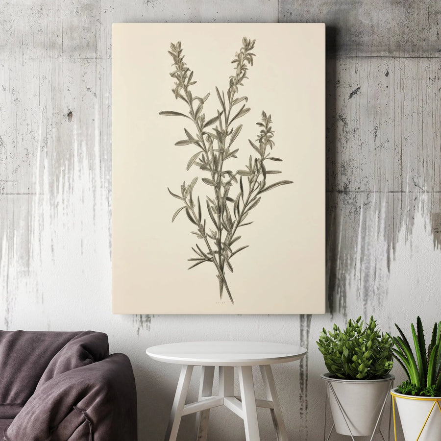 Vintage Botanical Canvas Wall Art | Rosemary Herb Sketch Print | Premium 1.25" Thick Canvas | Modern Farmhouse Kitchen Decor Gift