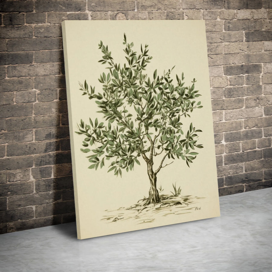 Olive Tree Canvas Wall Art | Vintage Botanical Illustration Print | Premium Thick Gallery Wrap Canvas | Rustic Farmhouse Kitchen Decor Gift