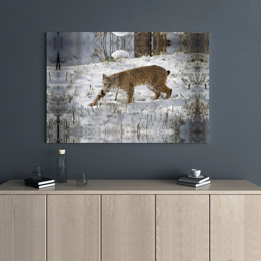 Bobcat Wall Art Canvas | Winter Wildlife Photography Print | 1.25" Premium Gallery Wrap | Nature Lover Gift For Home Decor