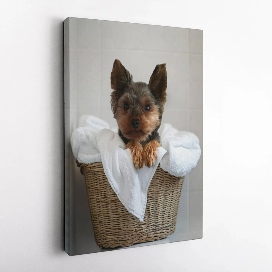 Yorkie Puppy Canvas Print | Cute Dog In Laundry Basket Wall Art | Premium Gallery Wrapped Decor | Gift For Dog Lovers & Pet Owners