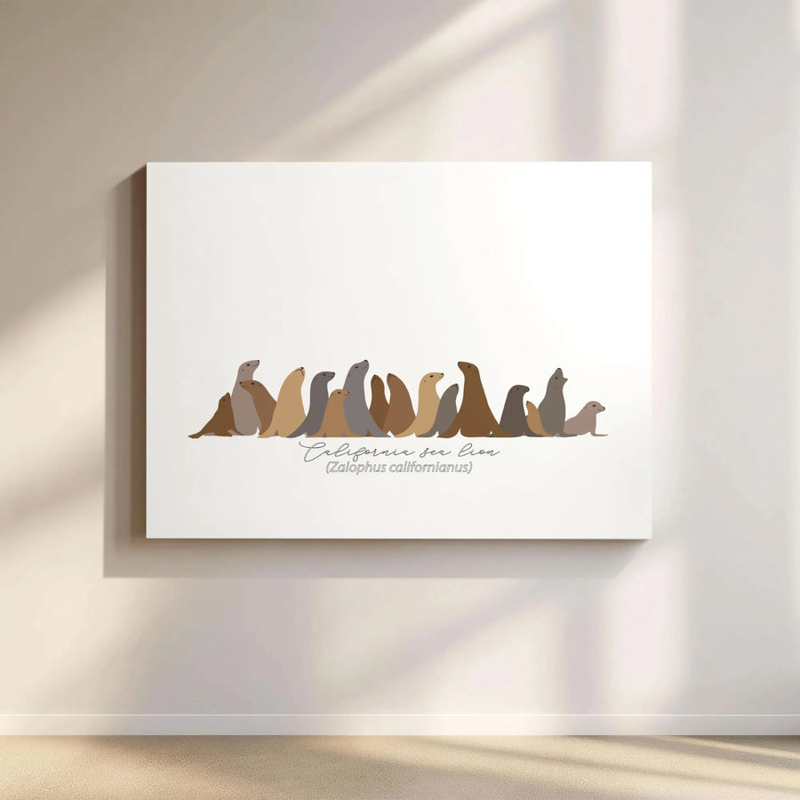 California Sea Lion Canvas Wall Art | Minimalist Coastal Animal Illustration | Premium Gallery-Quality Print | Ocean Lover Gift & Nursery Decor