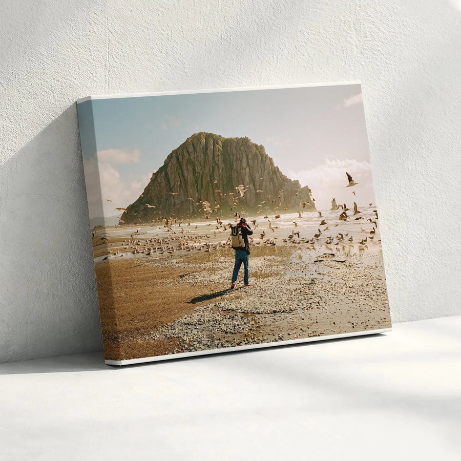 Morro Rock Beach Canvas Wall Art | Coastal Photographer & Seagulls Scene | Premium Fade-Resistant Print | California Landscape Decor Gift