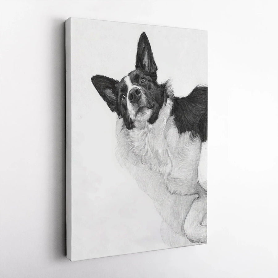 Border Collie Wall Art | Peeking Dog Pencil Sketch Print | Gallery-Quality Canvas | Dog Lover Gift For Home Office Decor