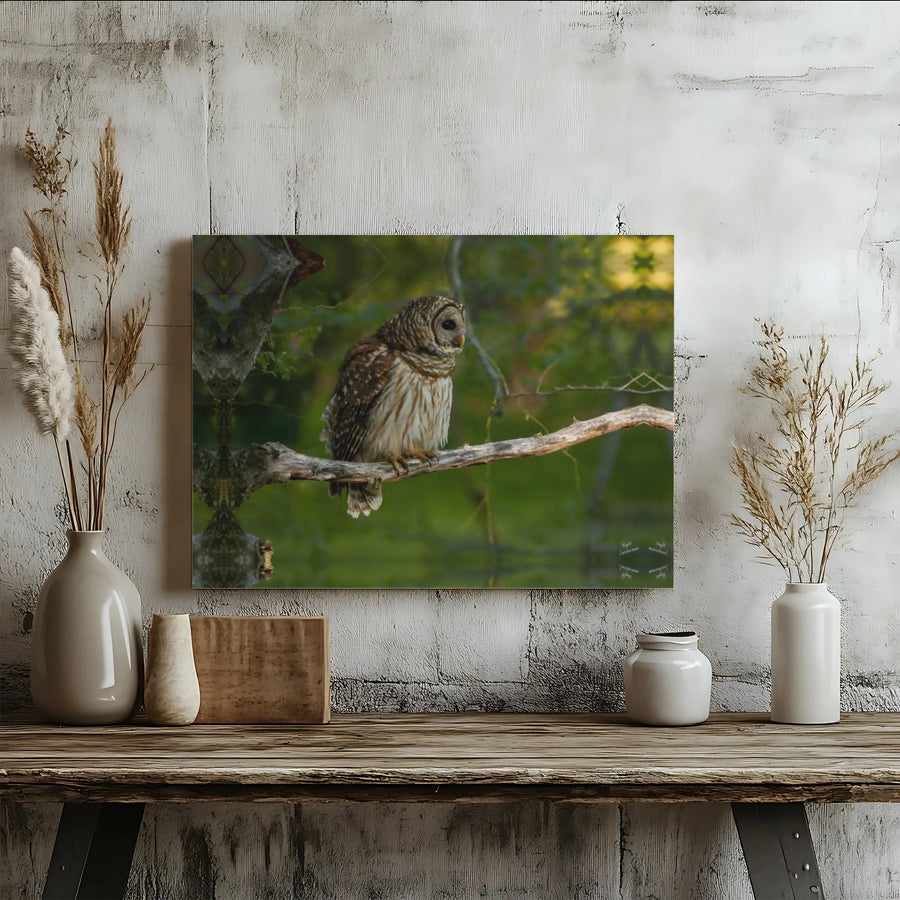 Barred Owl Wall Art Canvas | Nature Wildlife Photography Print | Gallery-Quality 1.25" Profile | Rustic Home Decor & Bird Lover Gift