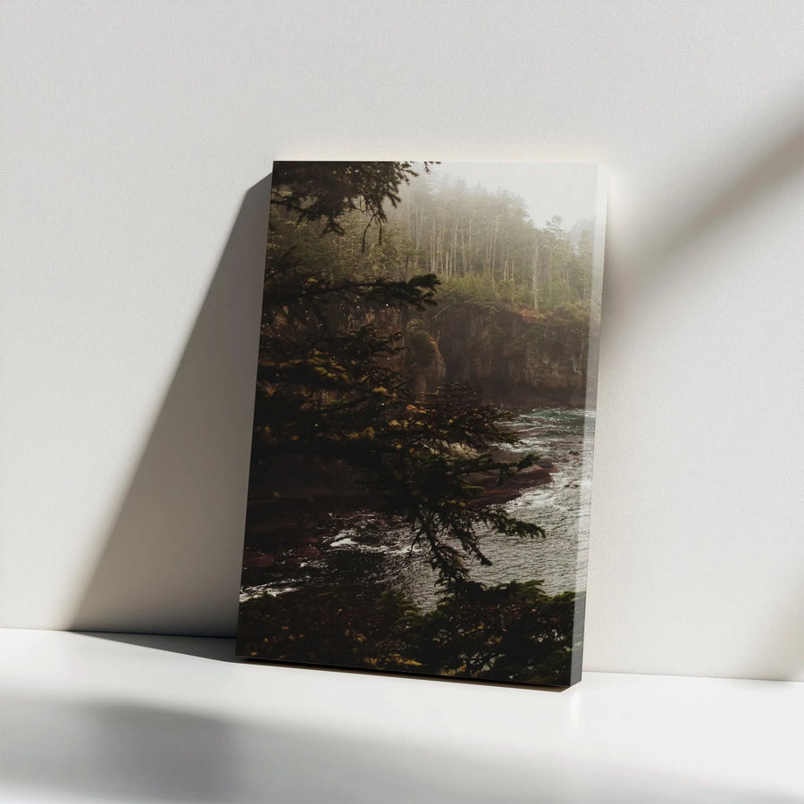 Foggy Coastal Forest Wall Art | Moody Evergreen Tree Landscape Print | 1.25-Inch Gallery Wrap Canvas | Premium Nature Home Decor Gift