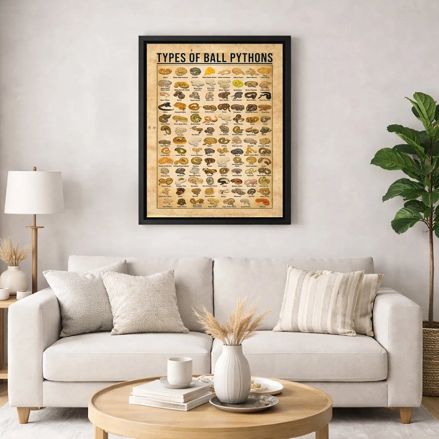 Types Of Ball Pythons Morph Guide Canvas | Educational Snake Anatomy Poster | Premium Gallery Wrap Wall Art | Perfect Reptile Lover Gift