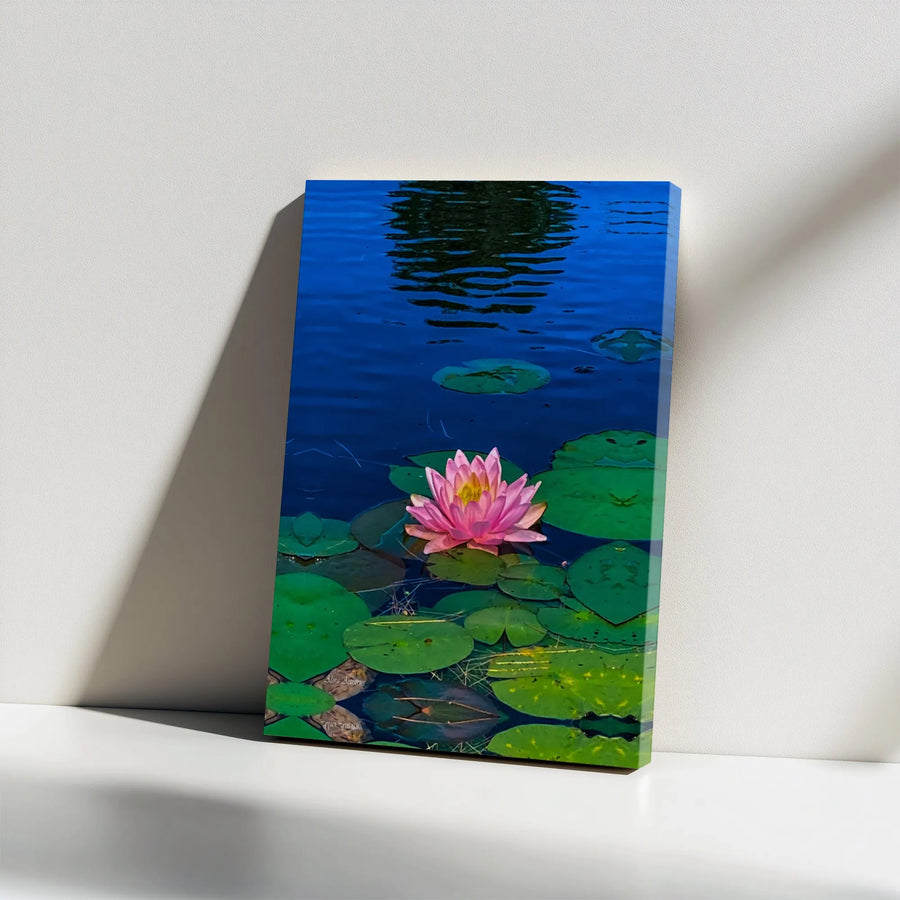 Pink Water Lily Canvas Wall Art | Vibrant Pond Floral Print | Premium Gallery Wrap 1.25 inch | Zen Home Decor Gift for Nature Lovers