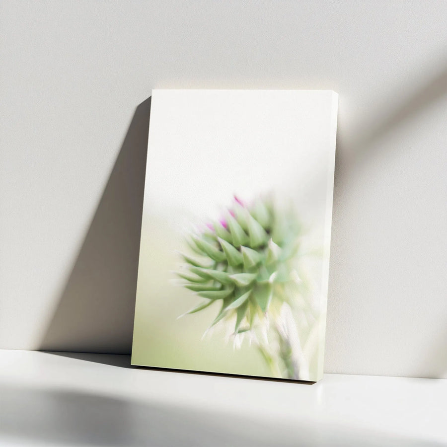 Abstract Thistle Canvas Wall Art | Minimalist Soft Focus Botanical Photography | Premium Thick Gallery Wrap | Modern Home & Office Decor Gift